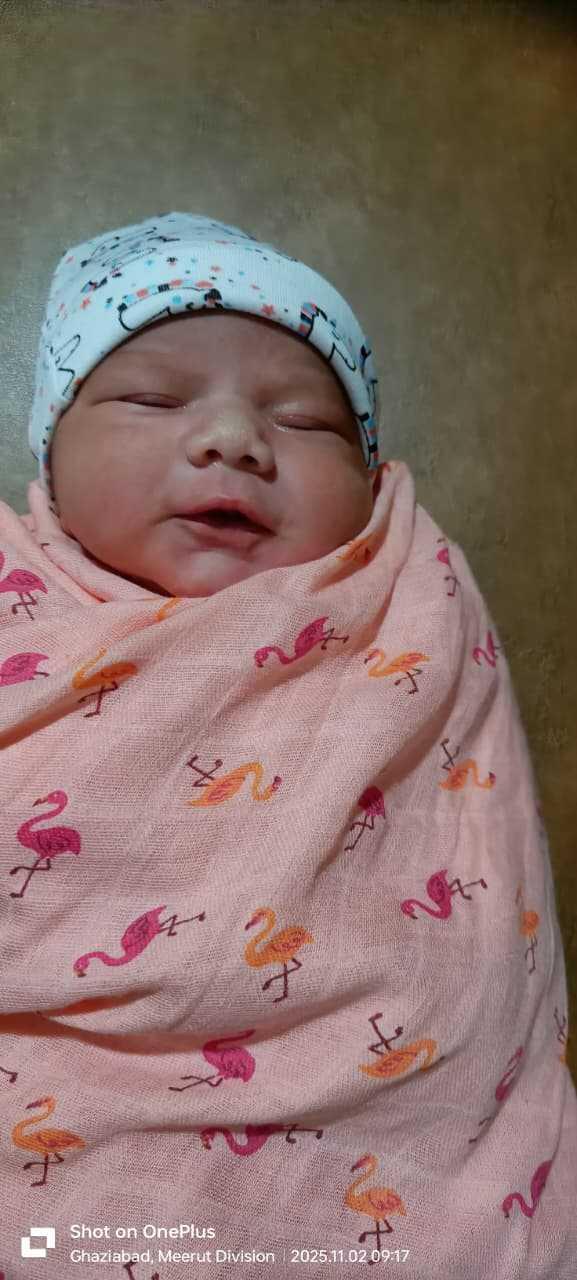 Newborn baby wrapped in a pink blanket